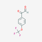 2-oxo-2-[4-(trifluoromethoxy)phenyl]acetaldehyde