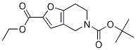 Structure of 5-o-tert-butyl 2-o-ethyl 6,7-dihydro-4h-furo[3,2-c]pyridine-2,5-dicarboxylate