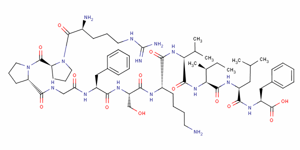 Structure of head activator peptide, hydra, Arg(1), Phe(5)-