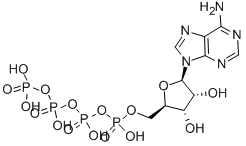 adenosine 5-tetraphosphate结构式