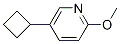5-cyclobutyl-2-Methoxypyridine结构式