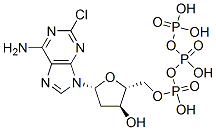 Structure of 2-chloro-2-deoxyadenosine triphosphate