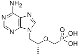 Structure of Tenofovir