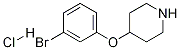 Structure of 3-BROMOPHENYL 4-PIPERIDINYL ETHER HYDROCHLORIDE