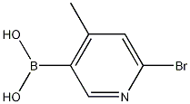 Structure of 6-Bromo-4-Methylpyridin-3-Ylboronic Acid