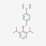 Structure of 4-[(2',6'-DIISOPROPYLPHENOXY)METHYL]PHENYLBORONIC ACID