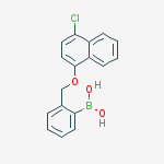 Structure of 2-[(4'-CHLORO-1-NAPHTHYLOXY)METHYL]PHENYLBORONIC ACID