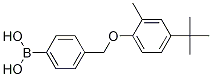 Structure of 4-[(4-tert-Butyl-2-methylphenoxy)methyl]phenylboronic acid