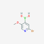 Structure of 2-Bromo-5-methoxypyridine-4-boronic acid