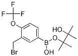 Structure of (3-(BROMOMETHYL)-4-(TRIFLUOROMETHOXY)PHENYL)BORONIC ACID, PINACOL ESTER