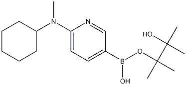Structure of N-Cyclohexyl-N-methyl-5-(4,4,5,5-tetramethyl-1,3,2-dioxaborolan-2-yl)pyridin-2-amine