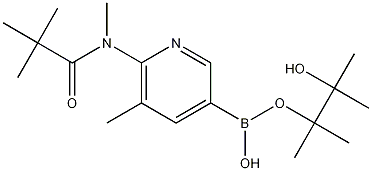 Structure of 6-(N,2,2,2-Tetramethylacetamido)-5-methylpyridine-3-boronic acid pinacol ester
