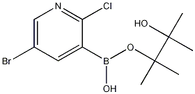 Structure of 5-bromo-2-chloro-3-(4,4,5,5-tetramethyl-1,3,2-dioxaborolan-2-yl)pyridine