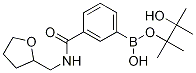 Structure of 3-(Tetrahydrofurfurylaminocarbonyl)benzeneboronic acid pinacol ester