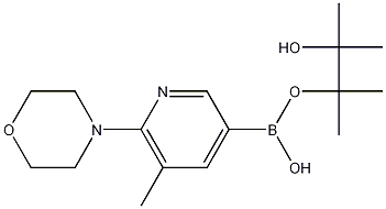 Structure of 4-[3-METHYL-5-(4,4,5,5-TETRAMETHYL-[1,3,2]-DIOXABOROLAN-2-YL)PYRIDIN-2-YL]MORPHOLINE