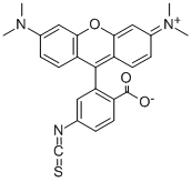 四甲基罗丹明-5(6)异硫氰酸酯结构式