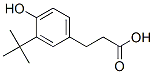 Structure of 3-(3-tert-butyl-4-hydroxyphenyl)propionic acid