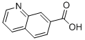 Structure of 7-Quinolinecarboxylic acid