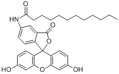 Structure of 5-(N-dodecanoyl)aminofluorescein