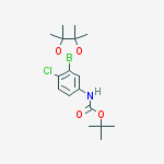 Structure of tert-butyl 4-chloro-3-(4,4,5,5-tetramethyl-1,3,2-dioxaborolan-2-yl)phenylcarbamate