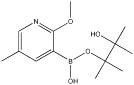 Structure of 2-Methoxy-5-methyl-pyridine-3-boronic acid,pinacol ester