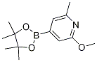 Structure of 2-Methoxy-6-methyl-4-(4,4,5,5-tetramethyl-1,3,2-dioxaborolan-2-yl)pyridine