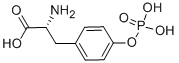 Structure of O-PHOSPHO-D-TYROSINE