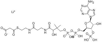 Structure of MALONYL COENZYME A LITHIUM SALT