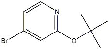 Structure of 4-Bromo-2-tert-butoxypyridine