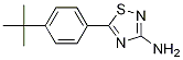 5-[4-(tert-butyl)phenyl]-1,2,4-thiadiazol-3-ylamine结构式