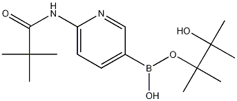 Structure of 6-pivalamidopyridine-3-boronic acid pinacol ester