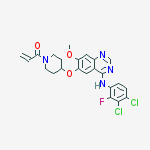 Structure of Poziotinib(HM781-36B)