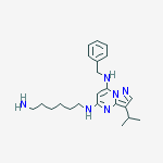 Structure of BS-181 hydrochloride