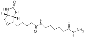 Structure of BIOTINAMIDOCAPROYL HYDRAZIDE