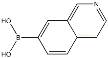 Structure of Isoquinoline-7-boronic acid