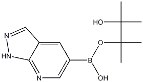 Structure of 1H-Pyrazolo[3,4-b]Pyridine-5-Boronic Acid Pinacol Ester