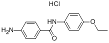 Structure of 4-AMINO-N-(4-ETHOXYPHENYL)BENZAMIDE HYDROCHLORIDE
