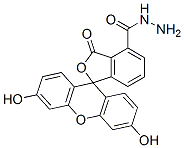 Structure of fluorescein hydrazide