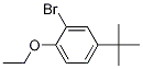 Structure of 2-Bromo-4-(tert-butyl)-1-ethoxybenzene