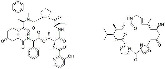 Structure of PRISTINAMYCIN