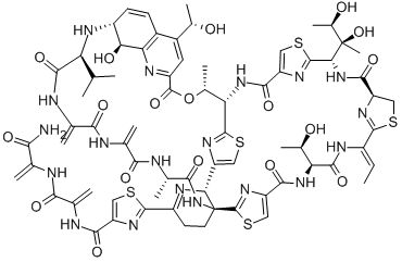 Structure of siomycin