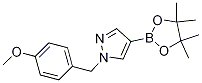 Structure of 1-(4-methoxybenzyl)-4-(4,4,5,5-tetramethyl-1,3,2-dioxaborolan-2-yl)-1H-pyrazole