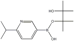 Structure of 6-isopropylpyridine-3-boronic acid pinacol ester