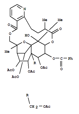 Structure of WILFORINE