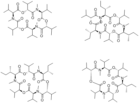 Structure of Enniatin microbial