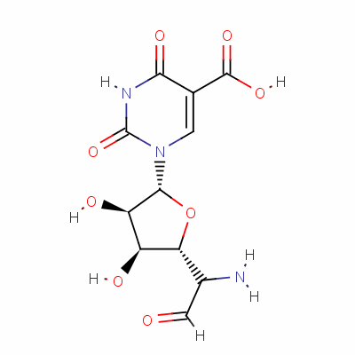 Structure of POLYOXINS
