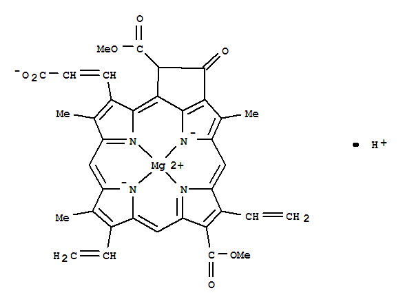 Structure of CHLOROPHYLL C3(SH)