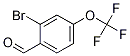 Structure of 2-BROMO-4-(TRIFLUOROMETHOXY)BENZALDEHYDE