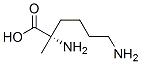 Structure of Lysine, 2-methyl-