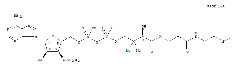Structure of 2-hydroxyglutaryl-1-coenzyme A